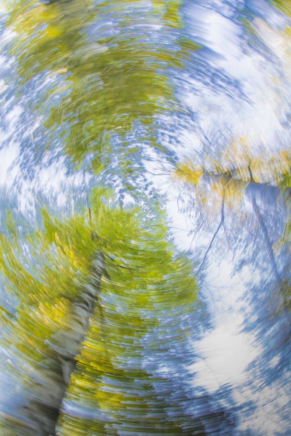 , Юрий Пужалин