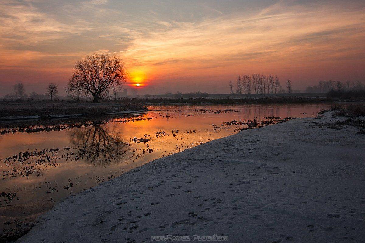 , Pawel Plucinski