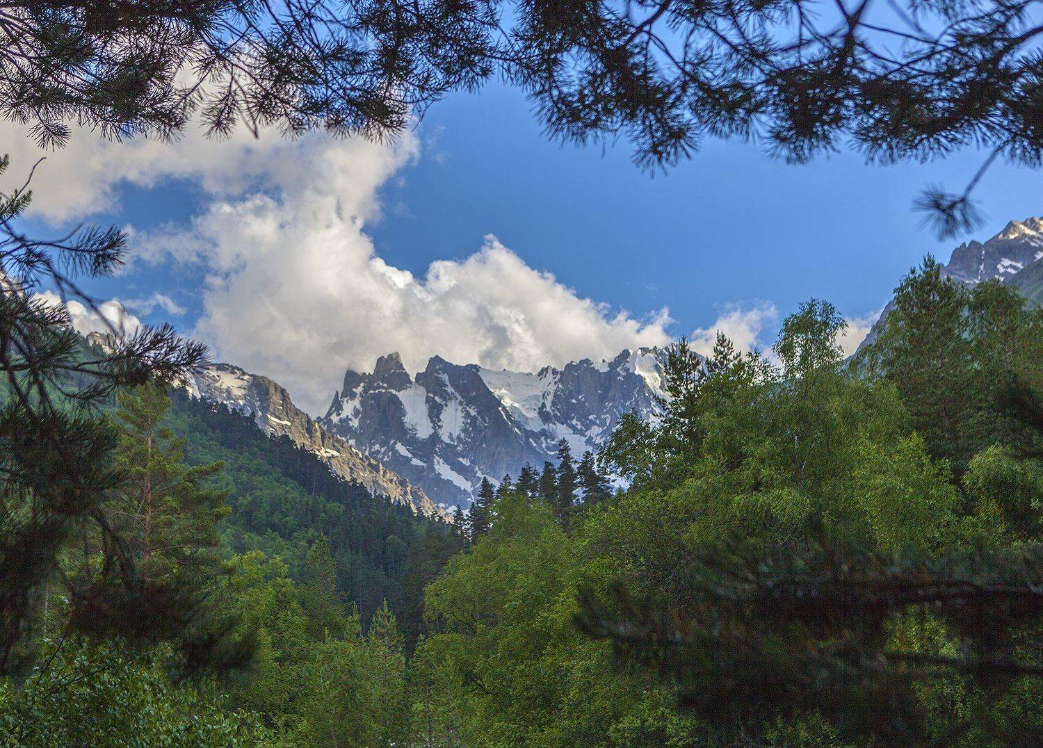 , Заур Вороков