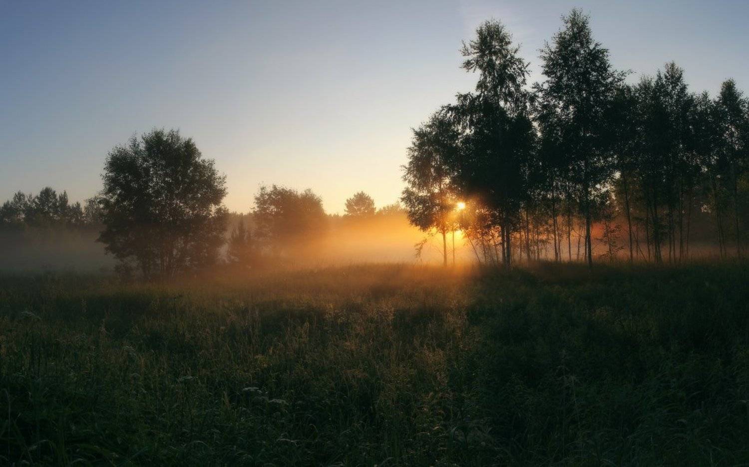 рассвет,утро, Андрей Дитковский