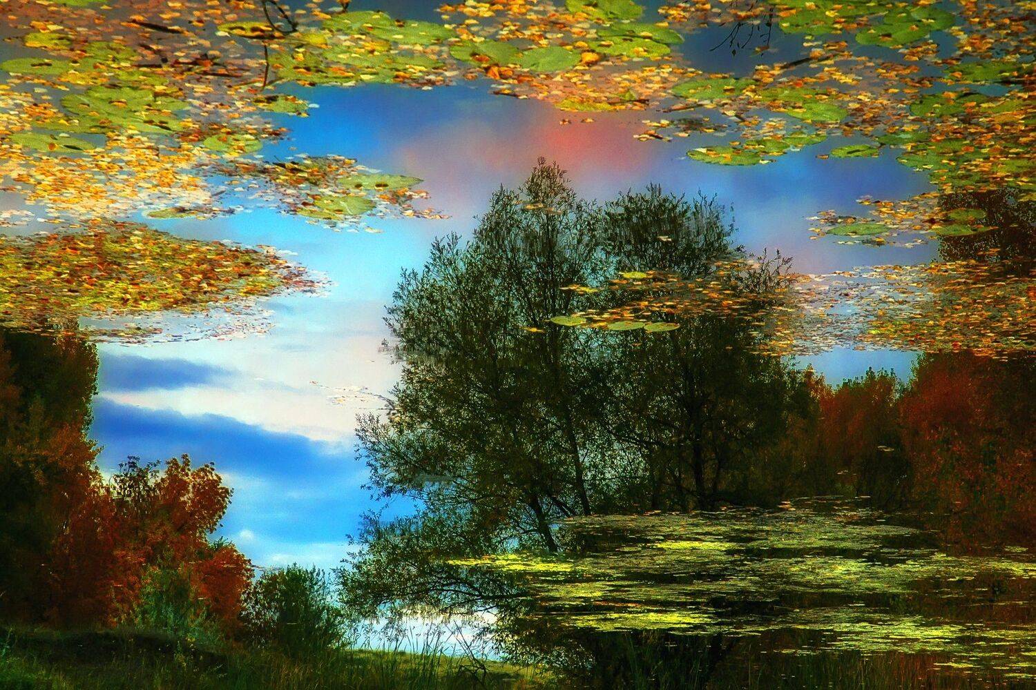 , Павел Сагайдак