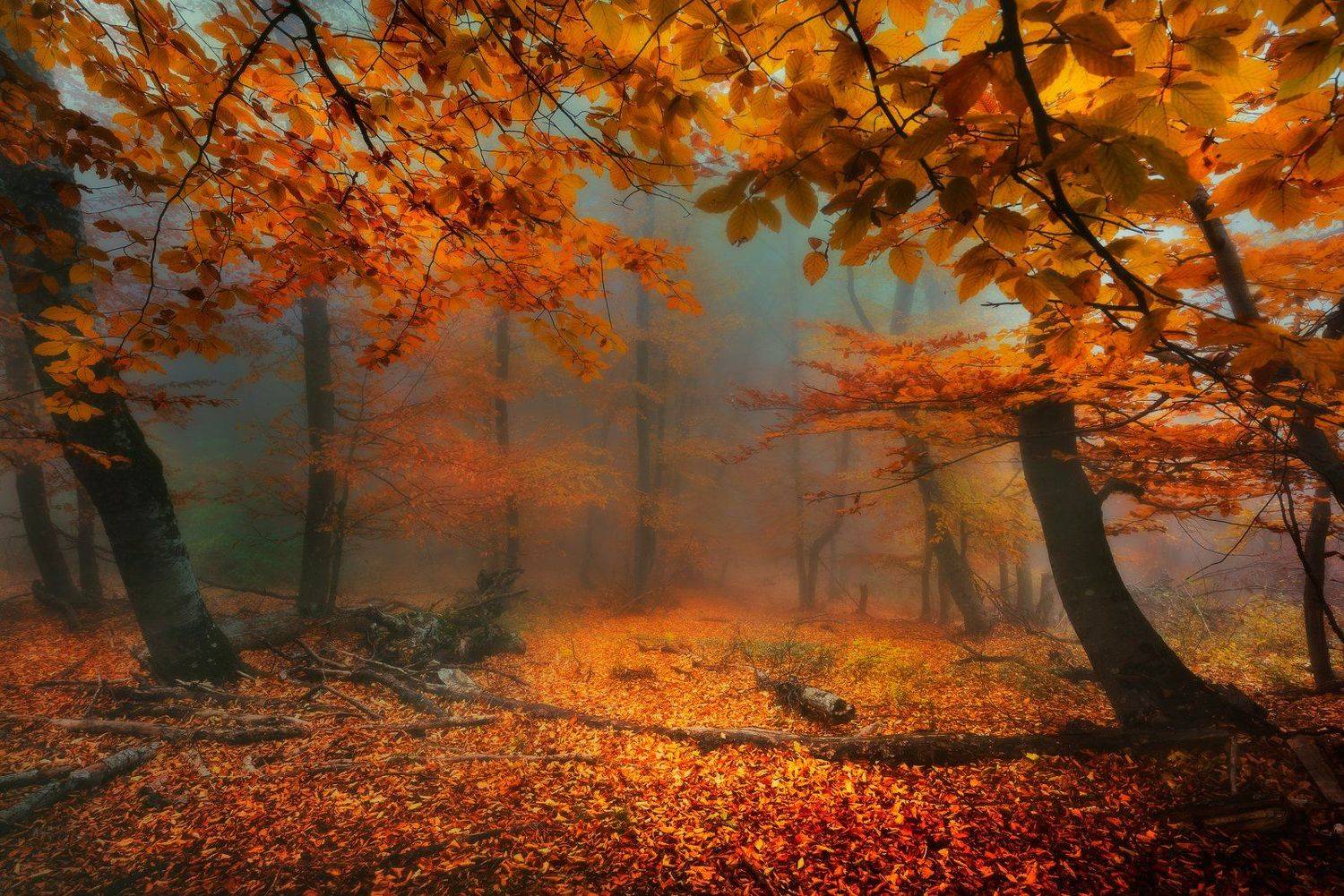 , Виктор Лебедь