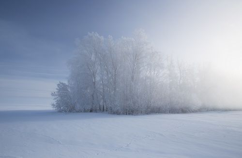 Морозное утро