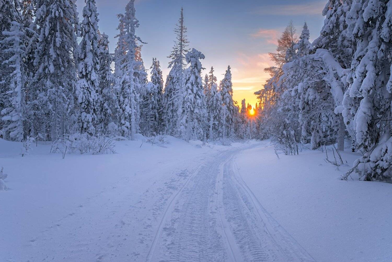 , Михаил Туркеев