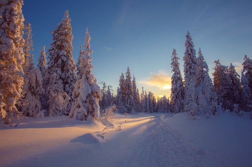 Кудесница зима