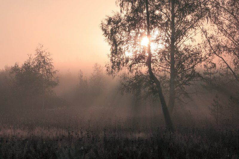 Утро фото превью