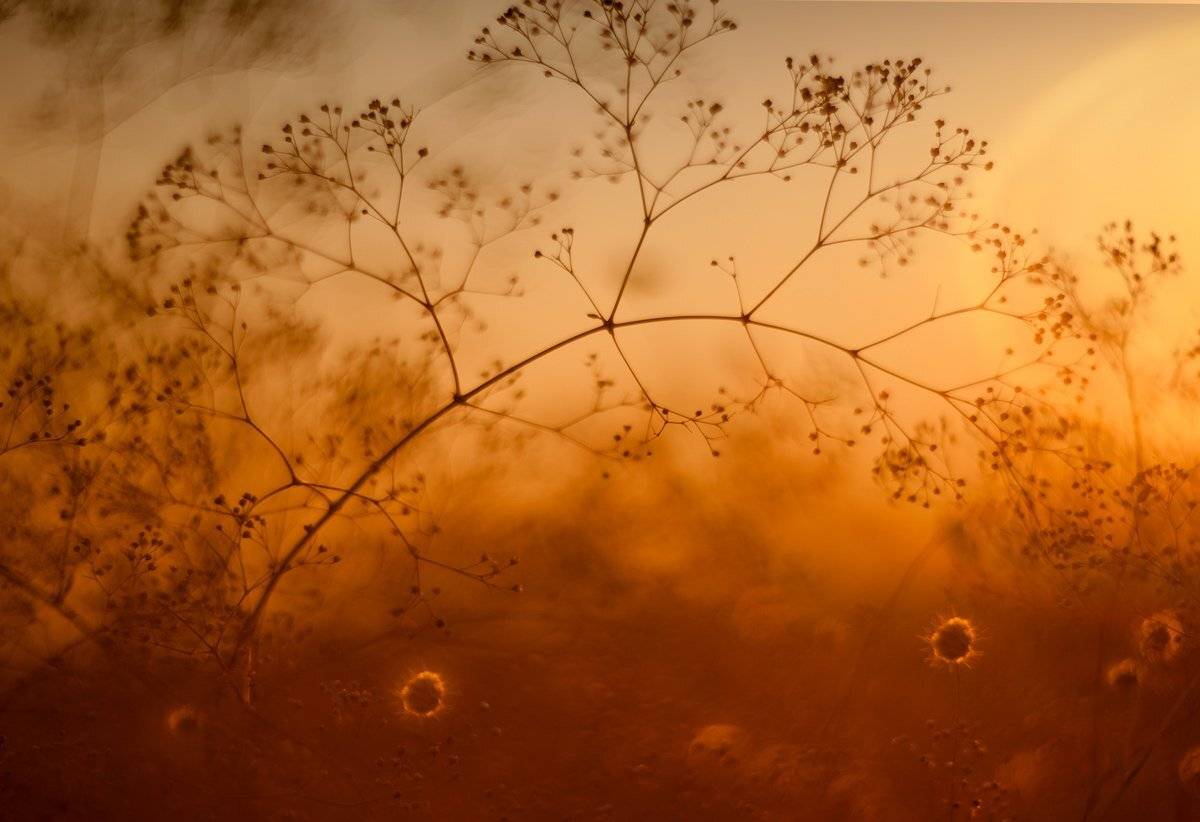 , Татьяна Аверина