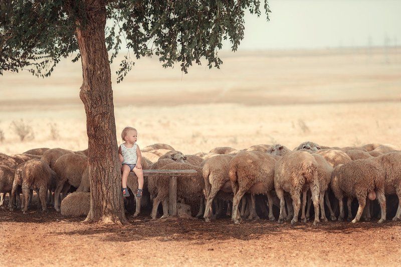 Пастушок фото превью