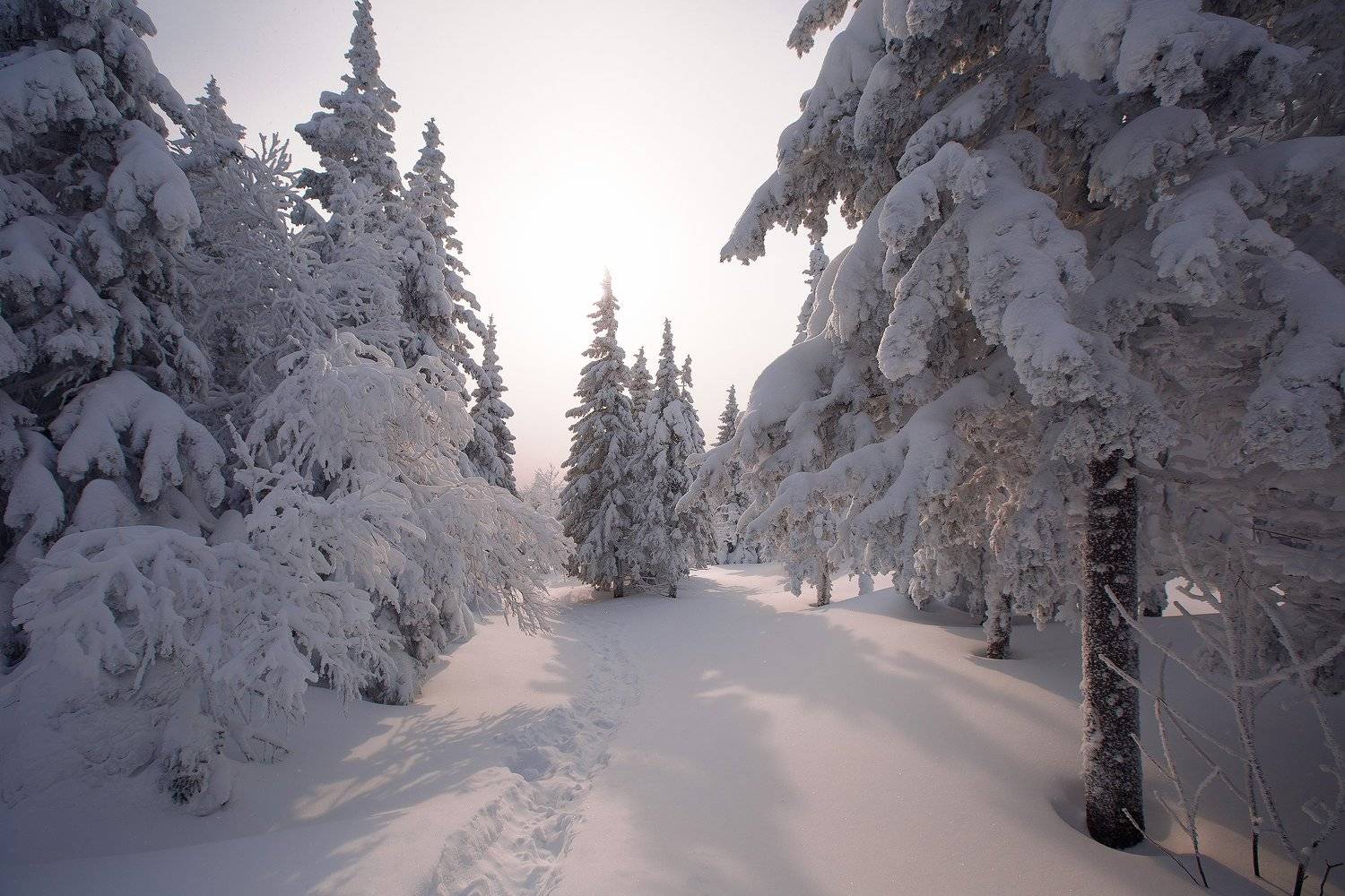 Таганай, Южный Урал, зима, 2017, Владимир