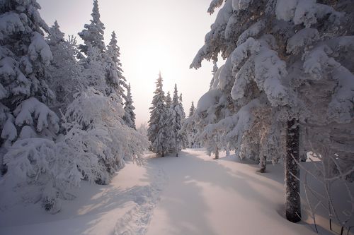 Рассвет