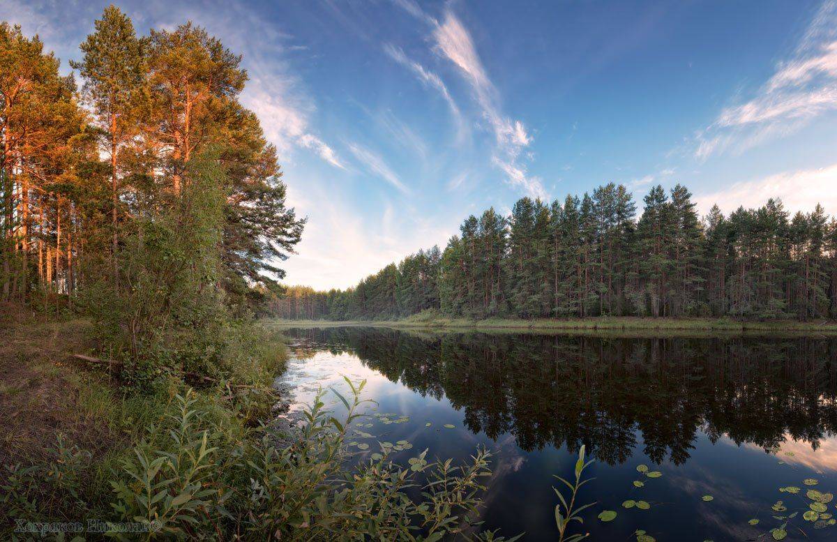 , Хохряков Николай