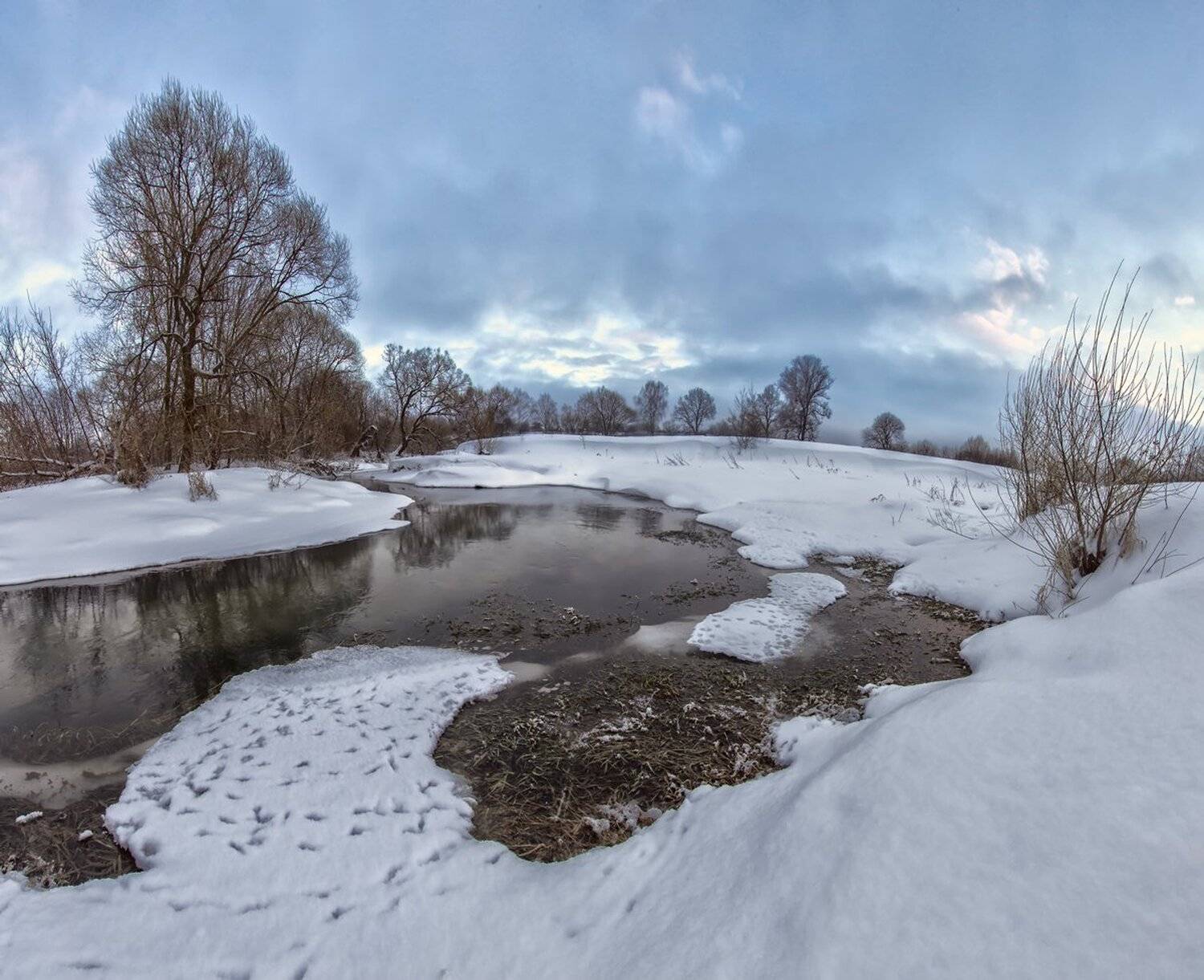 , Николай Андреев