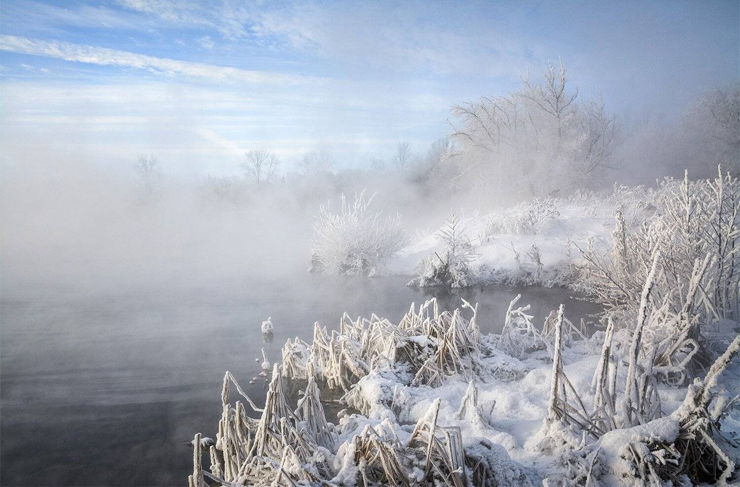 , Анатолий Зверев