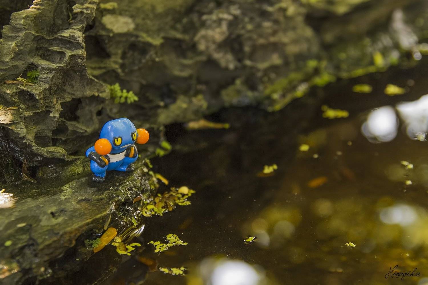 , Hinagiku Photography - Bảo L&acirc;m