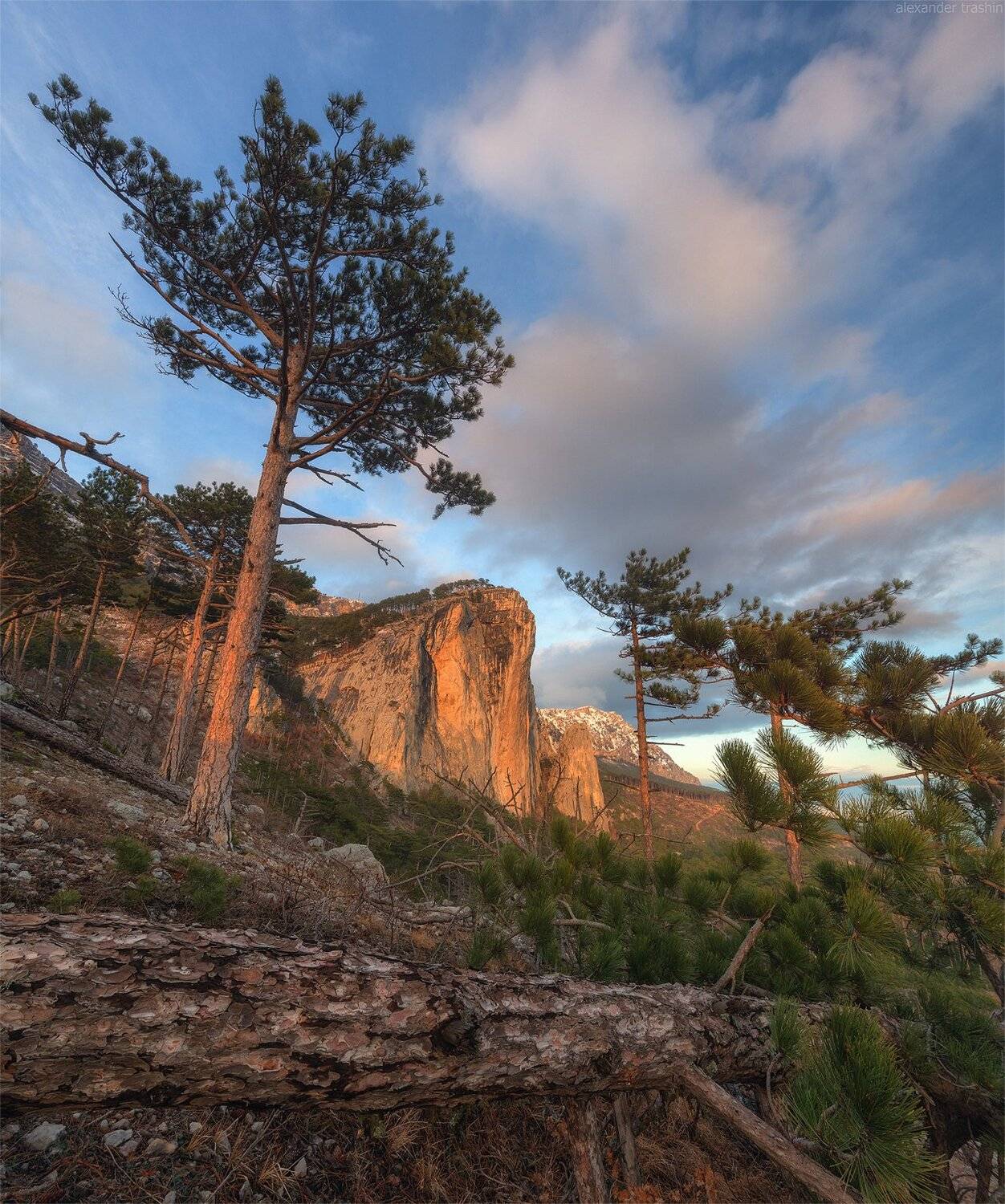 крым, пейзаж, шаан-кая, Александр Трашин