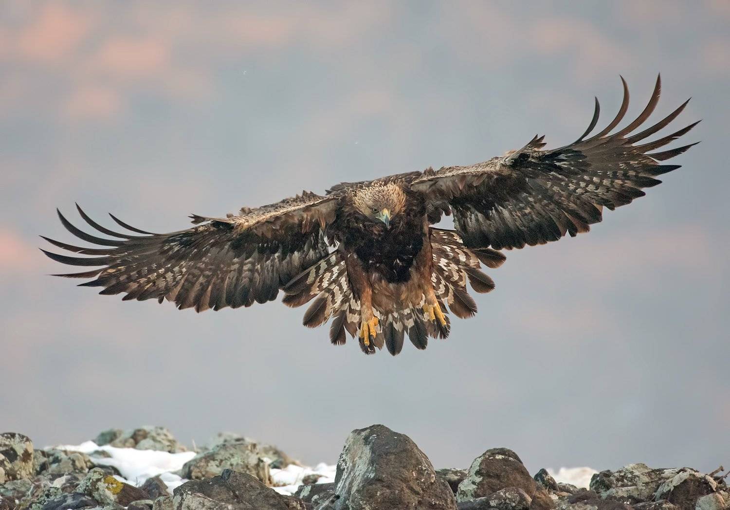 , Сергей Златков