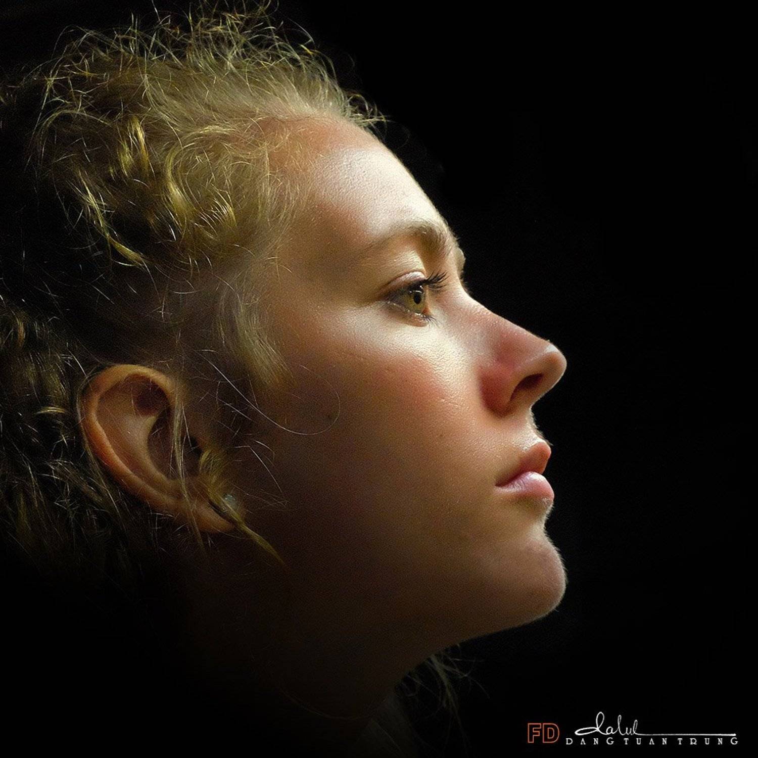 Dang Tuan Trung, Frank Dang, Frank Dang