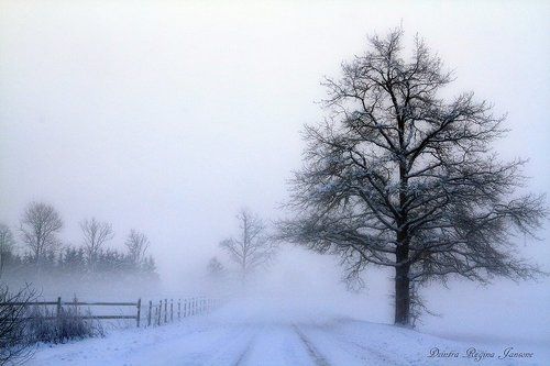 road in the mist