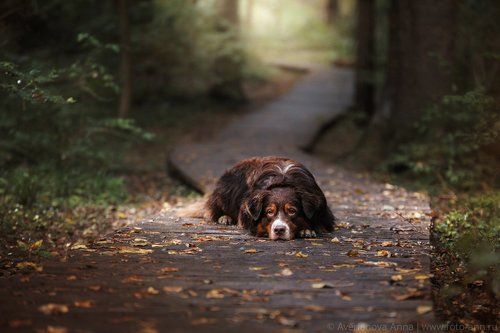 на тропинке