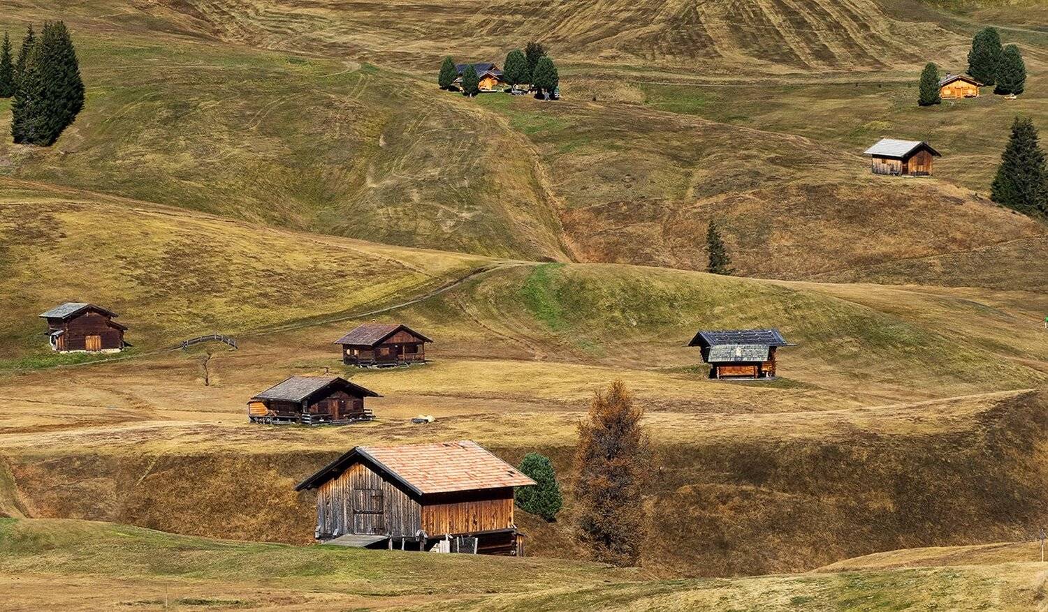 , Игорь Дубровский