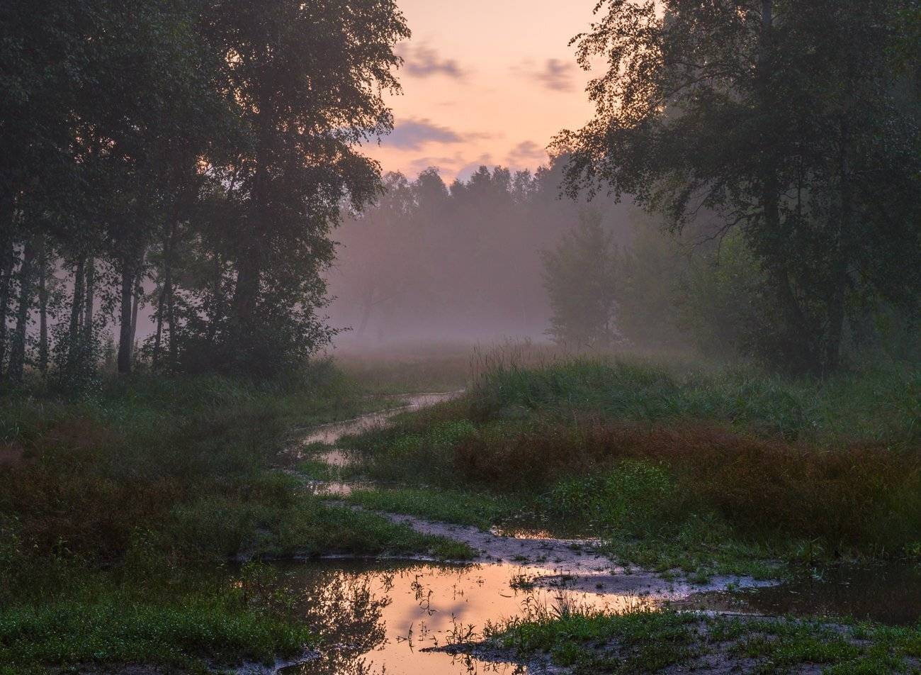 лето, луг, июль, рассвет, лужа, Галанзовская Оксана