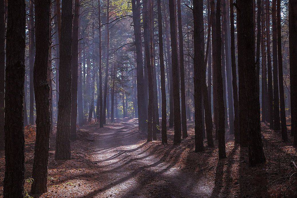 , Вячеслав Мищенко