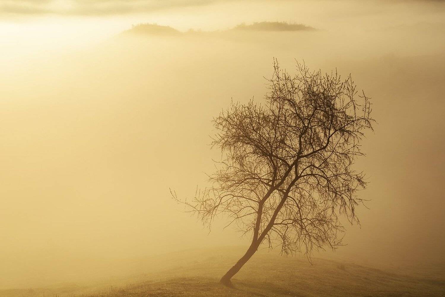 , Stefan Chirobocea