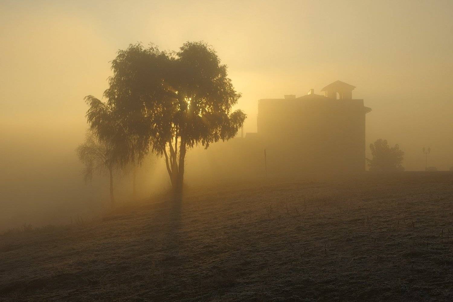 autumn, fog, morning, sunlight, morninglight, belarus, frozen, рассвет, осеннее утро, туман, солнечный свет, беларусь, пейзаж, Сергей Шляга