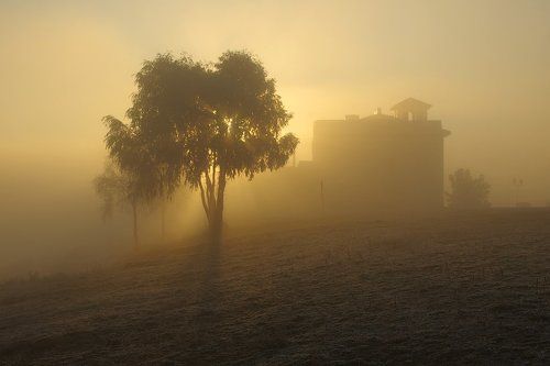 The House Of The Rising Sun