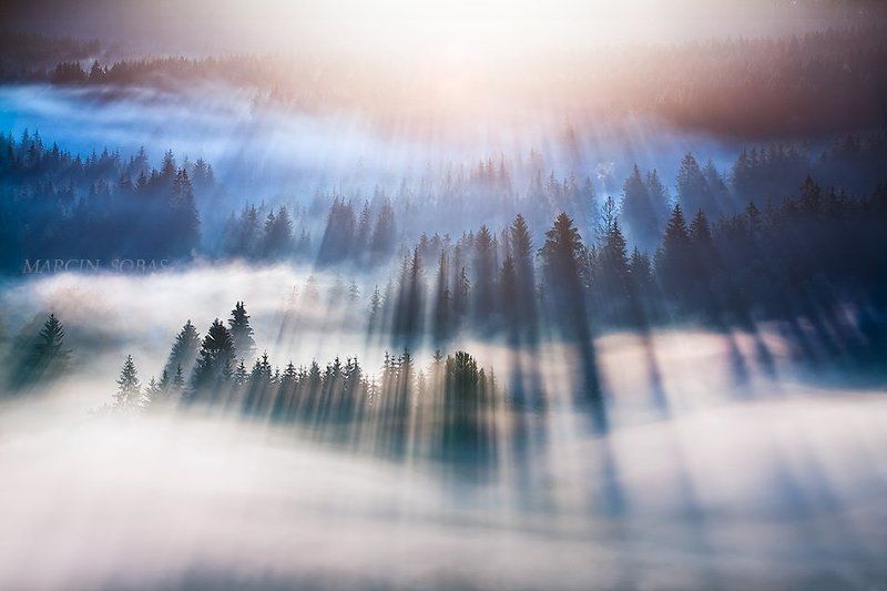 Dreamy awakening фото превью