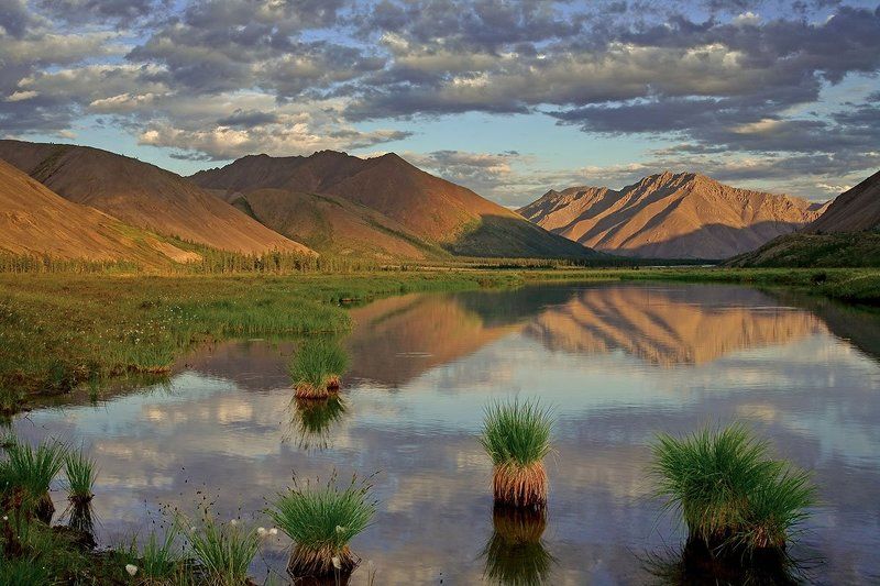 якутия, хребет черского, озеро дарпир Якутские ананасы. фото превью