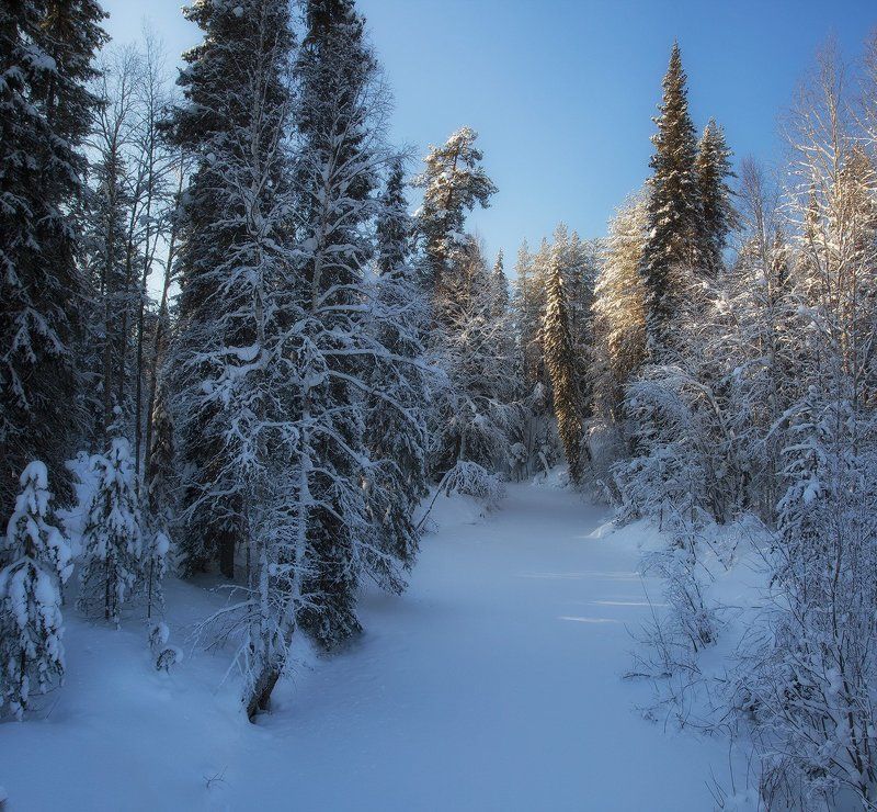 *********** фото превью