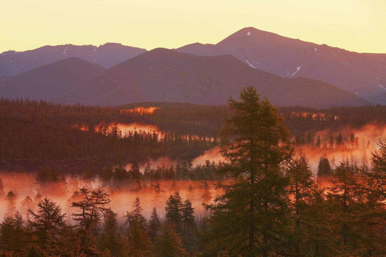 , Владимир Рябков