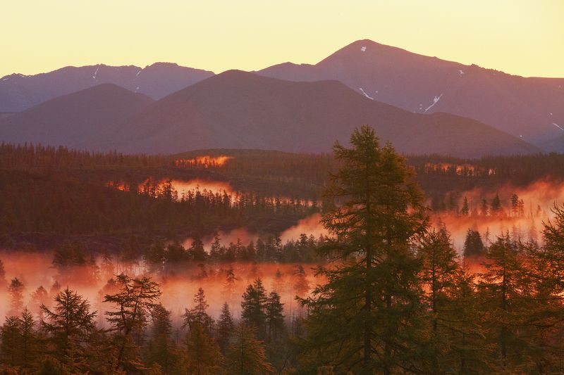 Горящий  туман фото превью