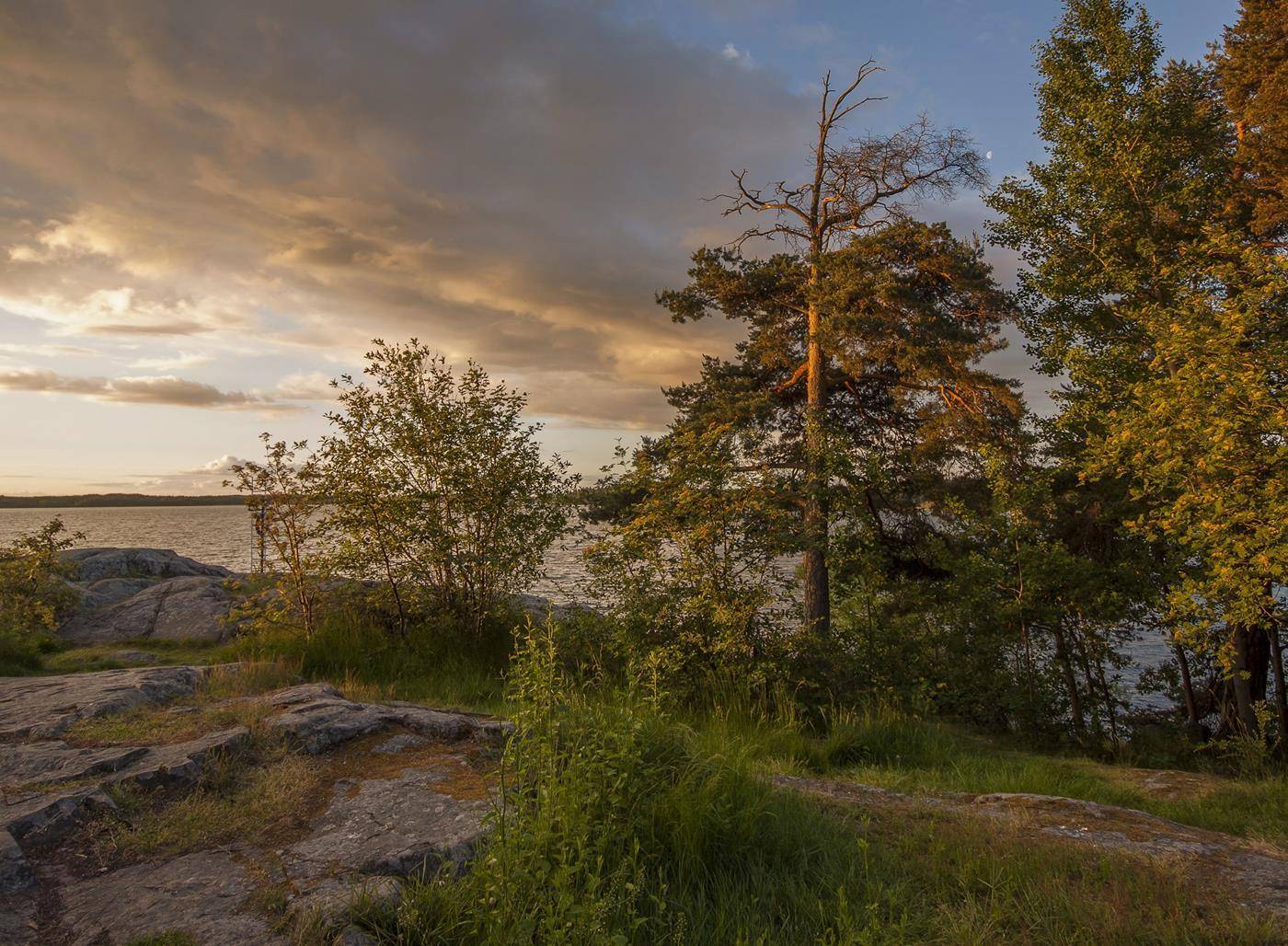Страж. Автор: Lapland , Lapland