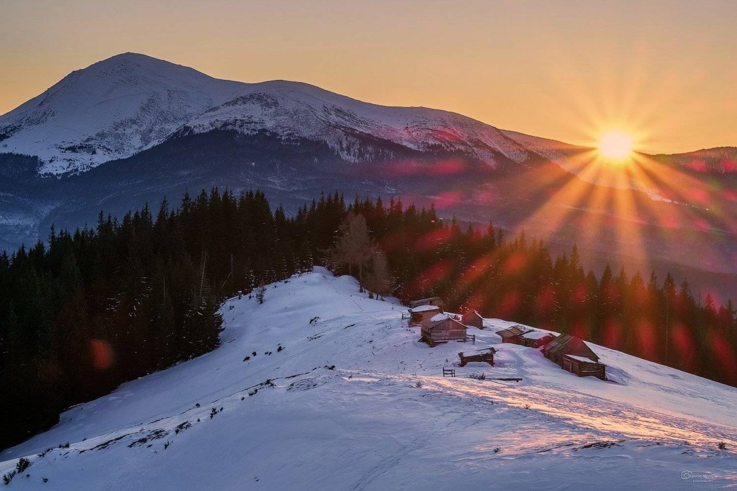 , Леонид Морозов