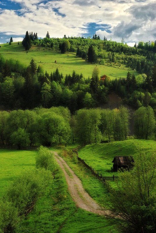 Карпаты фото превью