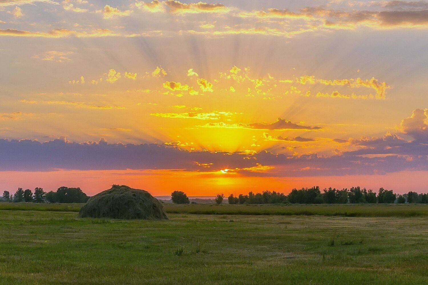 , Павел Сагайдак
