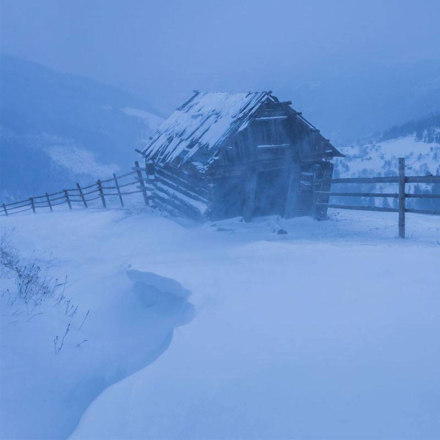 , Владимир Точаненко