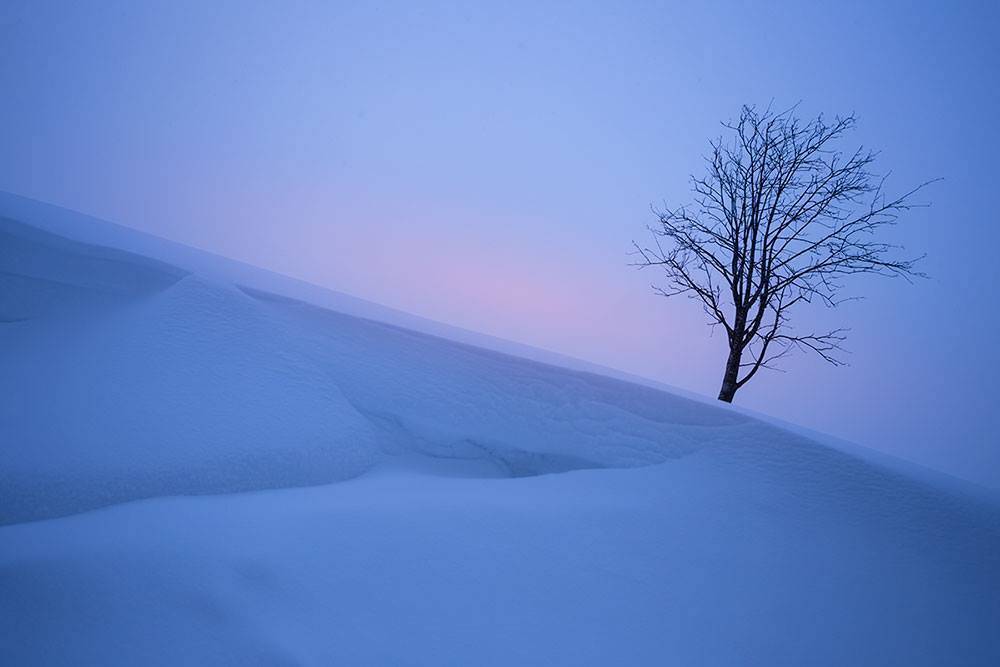 , Владимир Точаненко