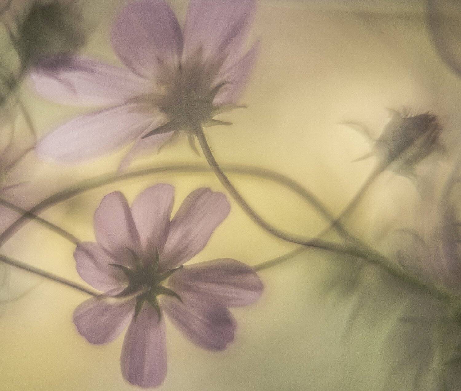 , Татьяна Аверина