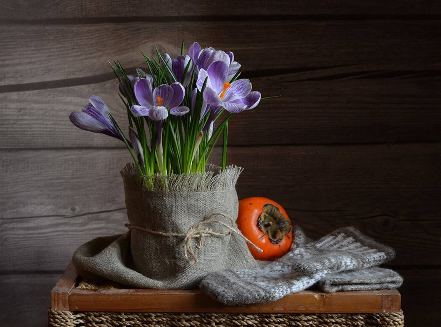 календарь, февраль, крокусы, варежки, хурма, Елена Белова