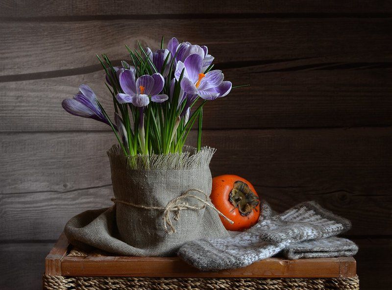 календарь, февраль, крокусы, варежки, хурма А на дворе февраль фото превью