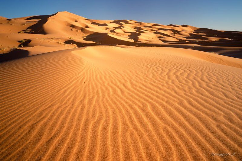 morocco, desert, sand, dunes, Lines on the sand фото превью