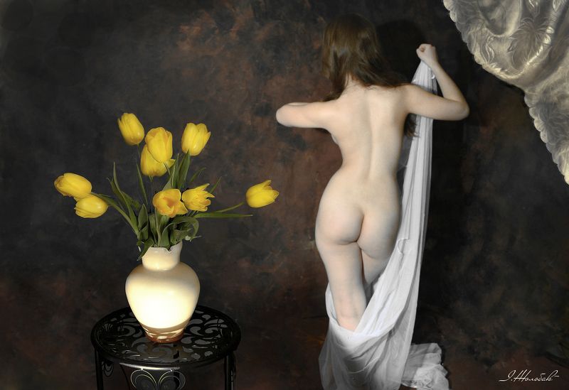 Жовті тюльпани фото превью