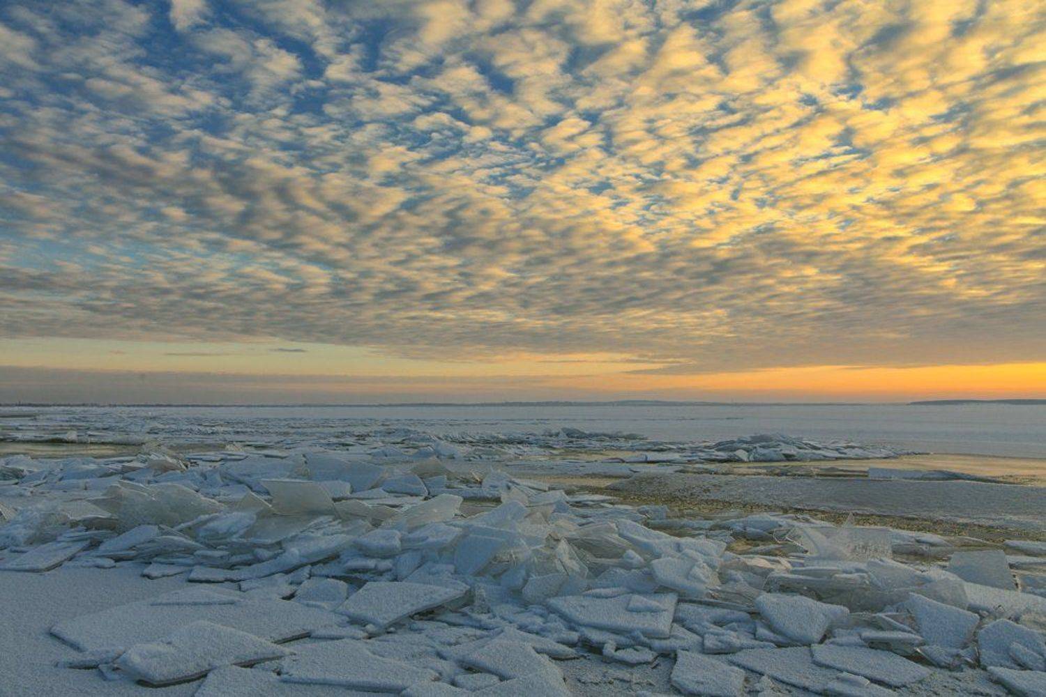 , Александр Войтенко