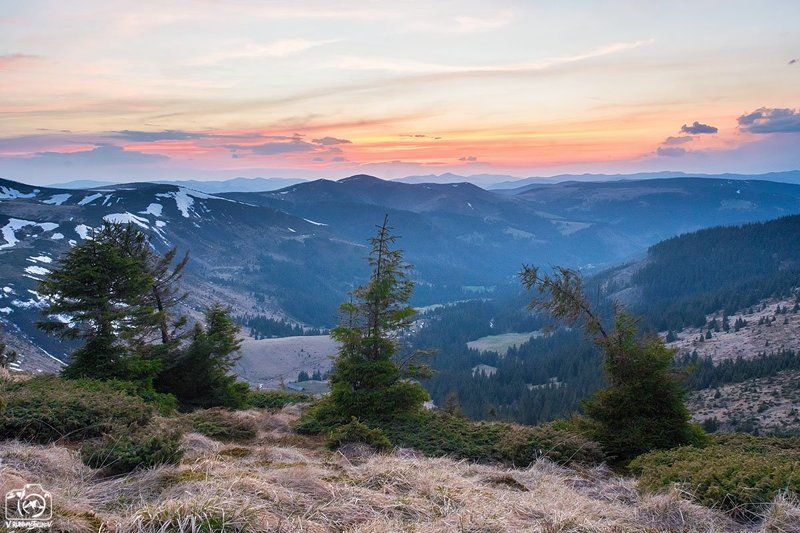 украина, карпаты, свидовец, горы, закат, ели Три сестры фото превью