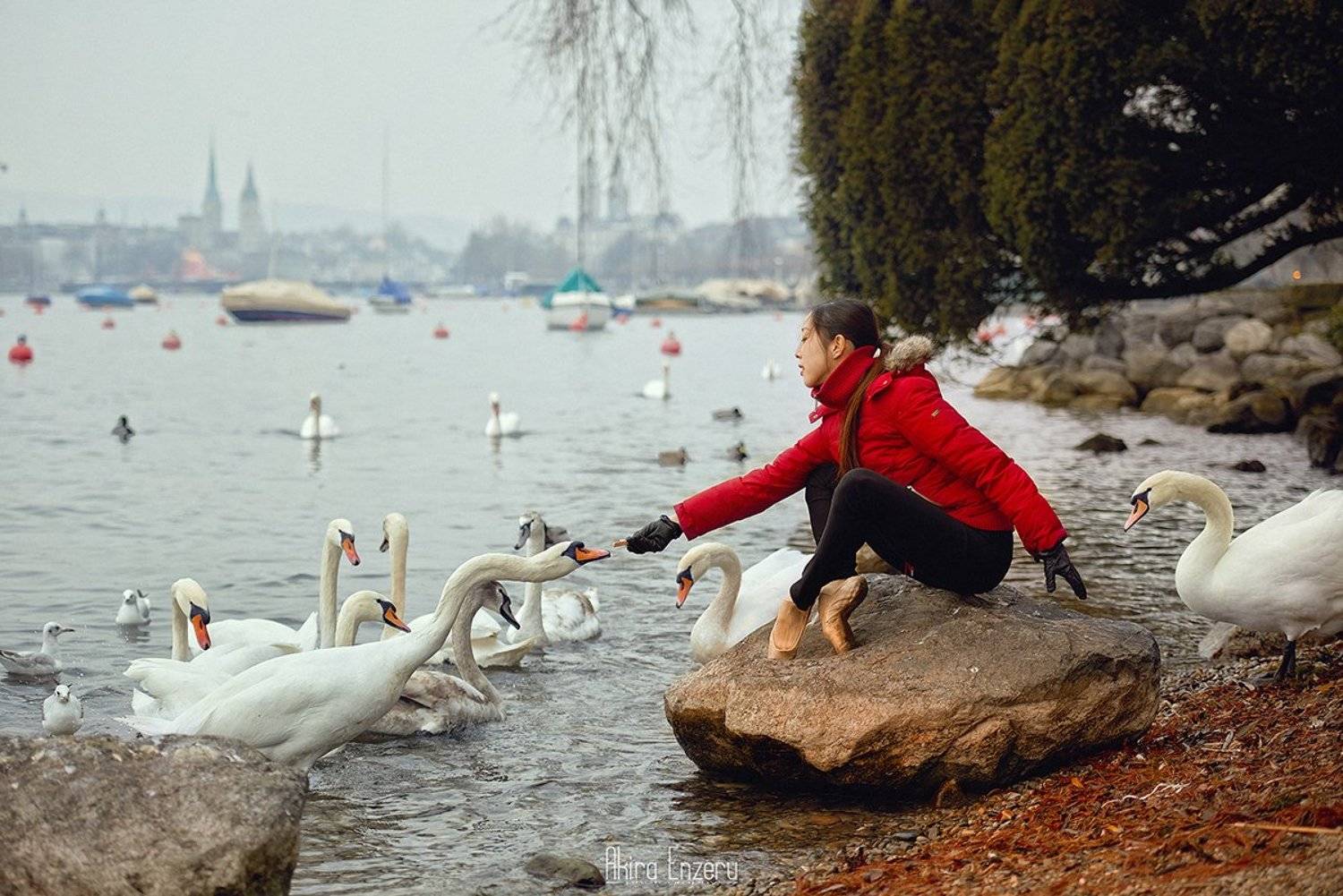 portrait, ballet, ballerina, dance, dancing, swan, Enzeru Akira