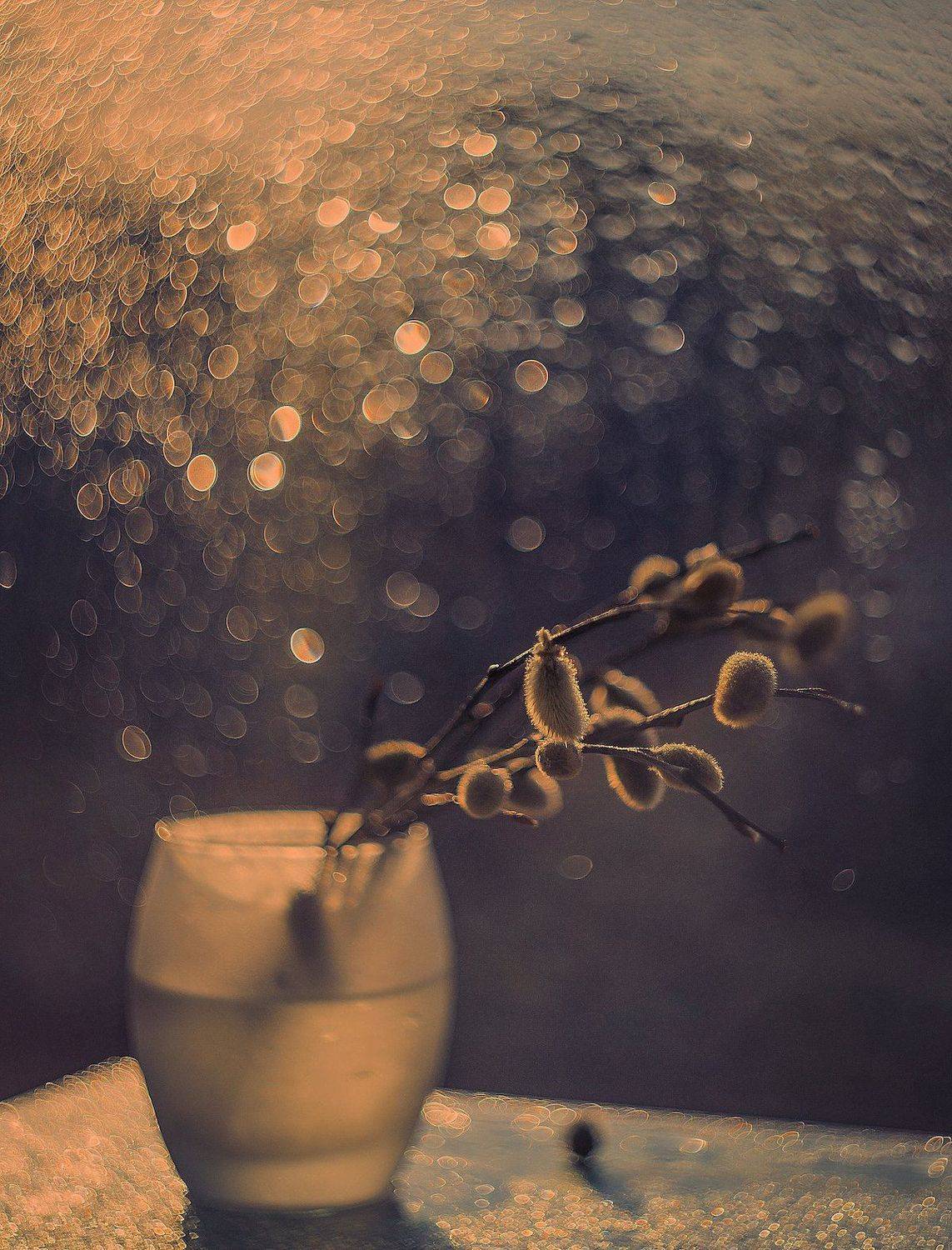 , Екатерина Науменко