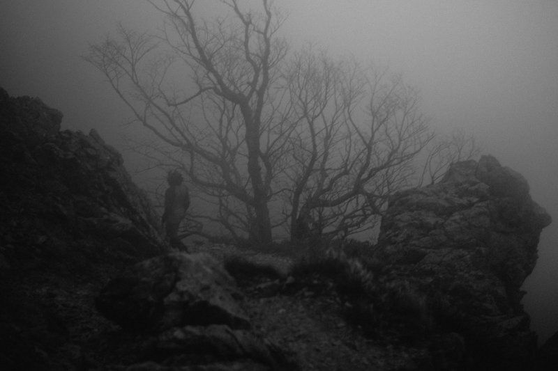 Путь страха фото превью